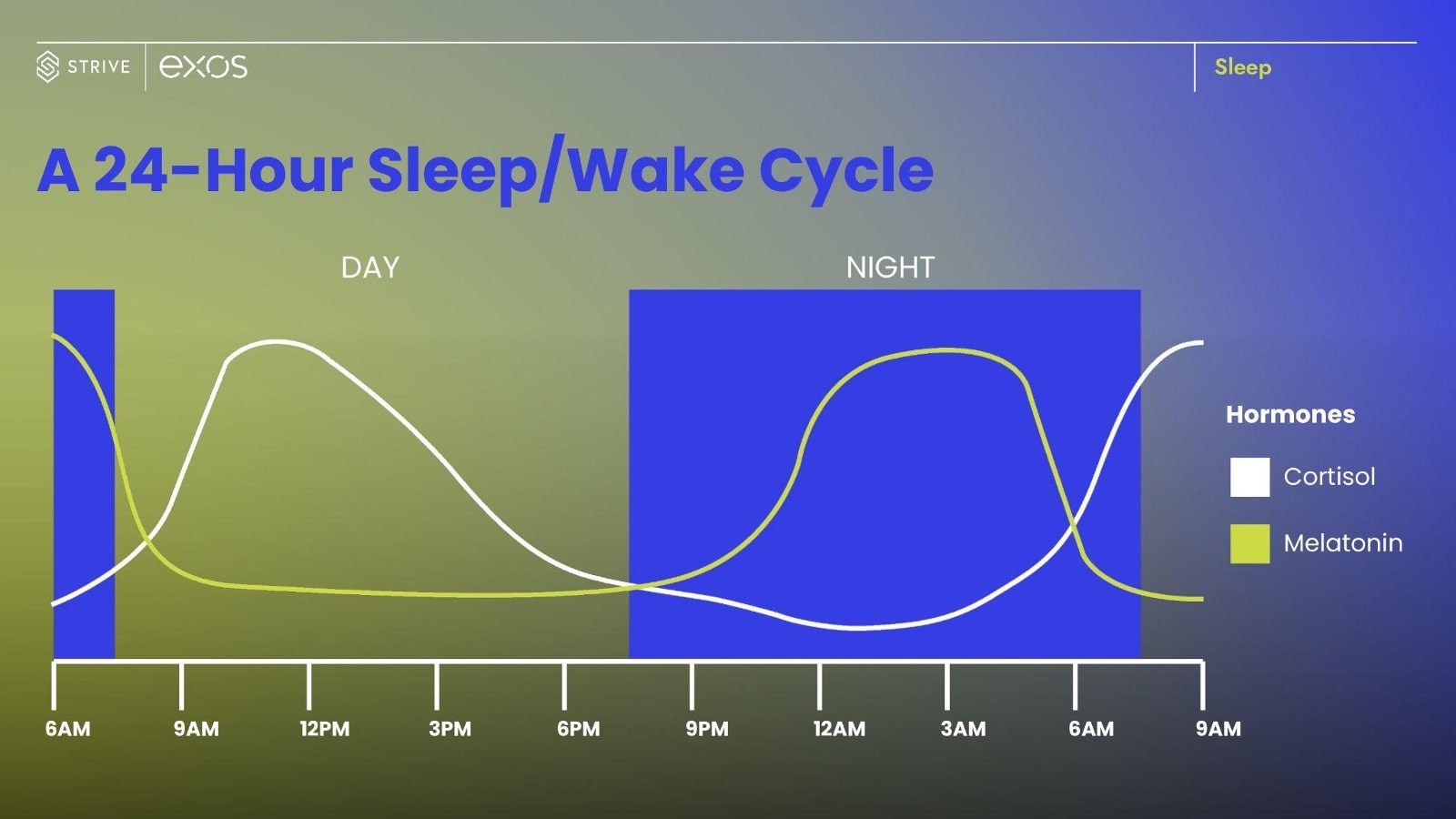 24 hour sleep wake cycle as a graph