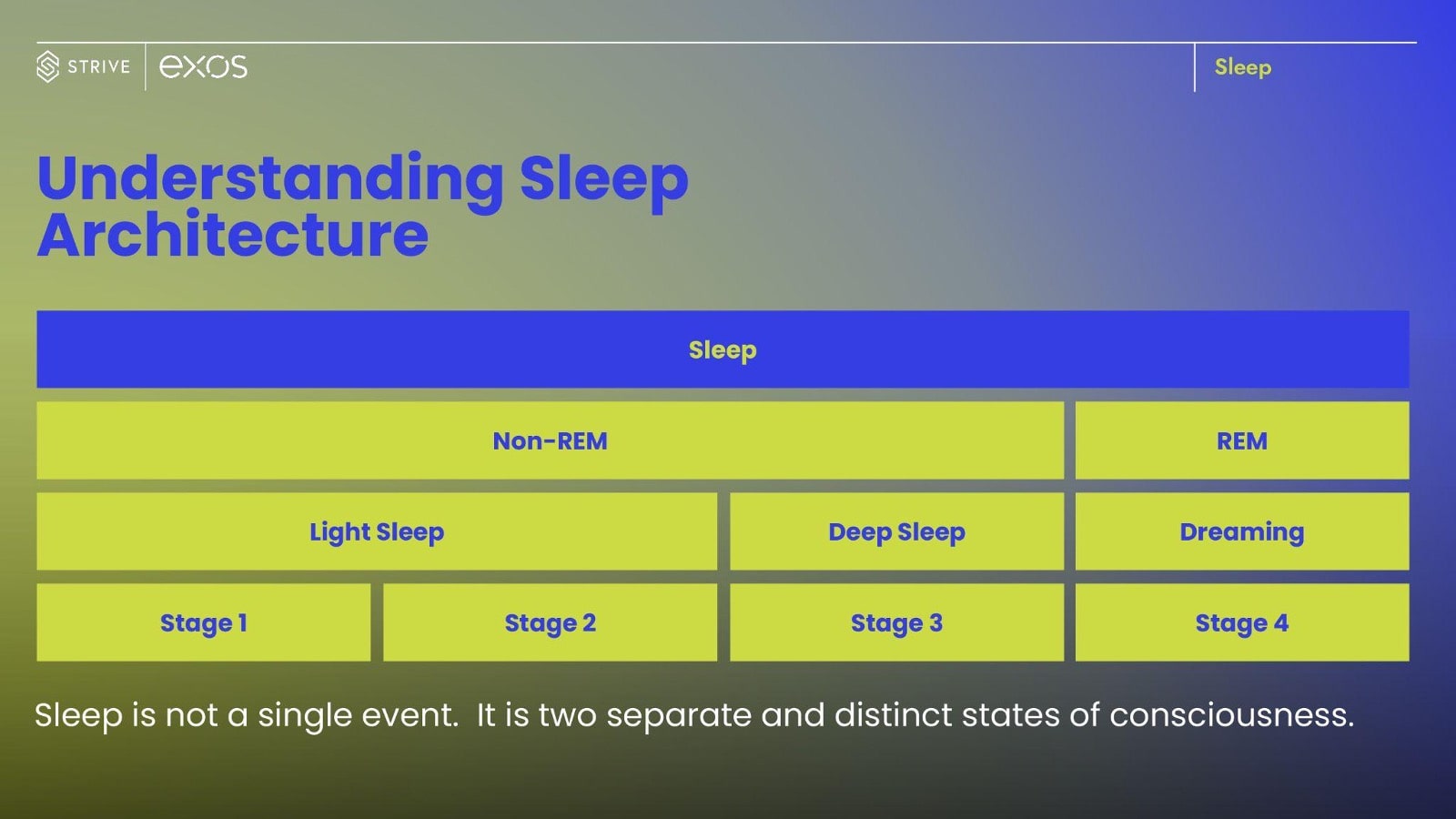 Understanding sleep architecture picture of graph